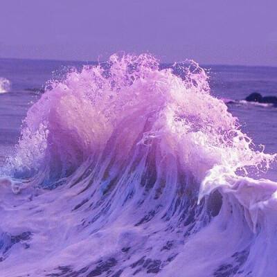 金沙集团186CCapp下载